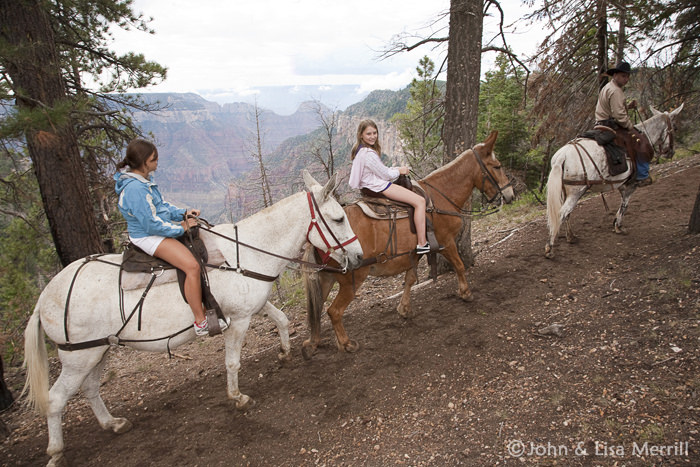 Grand Canyon Trail Rides