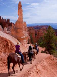 Image result for bryce canyon
