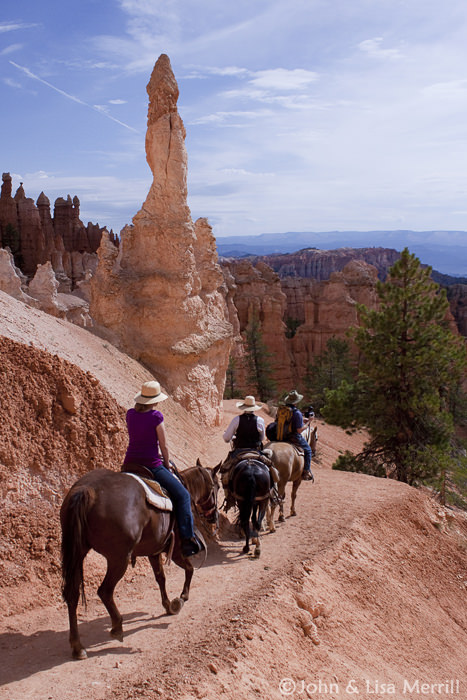 Bryce Canyon Horseback Tours