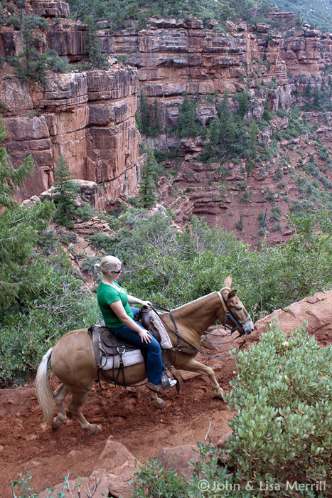 Grand Canyon Horseback Tour